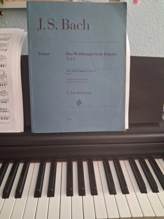 clases de piano, 14€/h