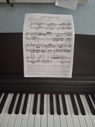 clases de piano, 14€/h