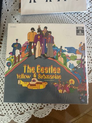 Astuccio per vinili The Beatles da collezione