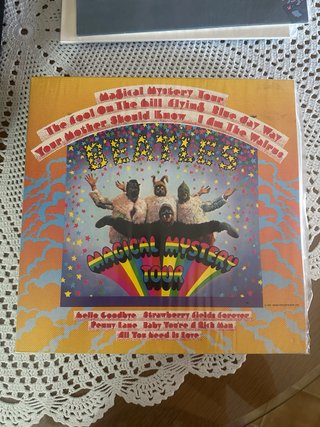 Astuccio per vinili The Beatles da collezione