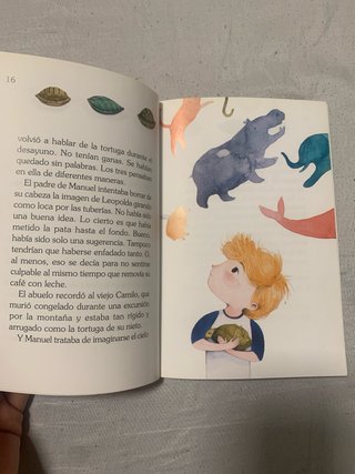 Dónde van las tortugas cuando mueren