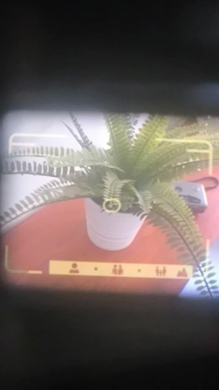 Canon AF35M II (Autoboy 2) — Impecable