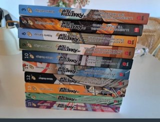Forasteros del tiempo libros 13 y 14