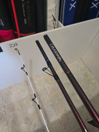 CAÑA DAIWA PRIME CASTER SLIM S30-425H CE