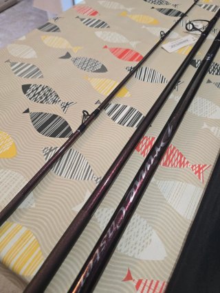 CAÑA DAIWA PRIME CASTER SLIM S30-425H CE