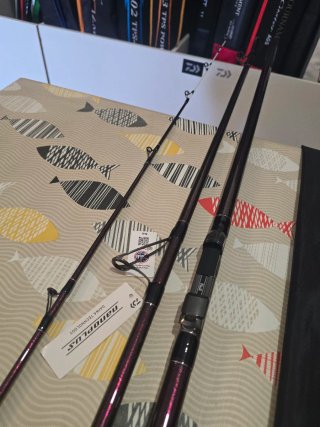 CAÑA DAIWA PRIME CASTER SLIM S30-425H CE