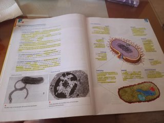 Biología y geología, ciencias, Bachillerato 1