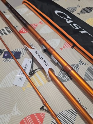 CAÑA DAIWA CAST IZM SURF 33-425H CE 2025