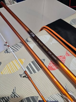 CAÑA DAIWA CAST IZM SURF 33-425H CE 2025