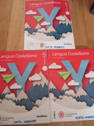 Lengua castellana, 5 Primaria