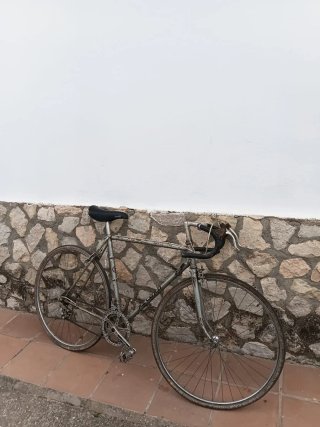 Bicicleta Clásica Record