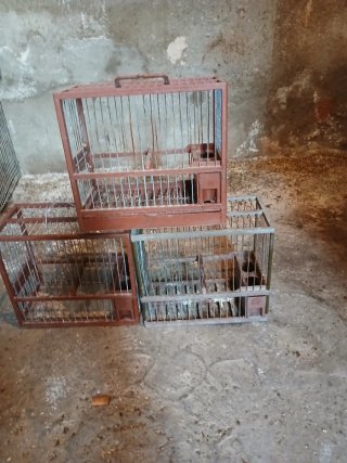 3 Jaulas para pájaros