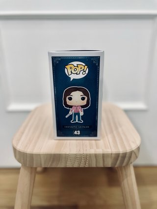 Funko Pop Hermione 43 Harry Potter