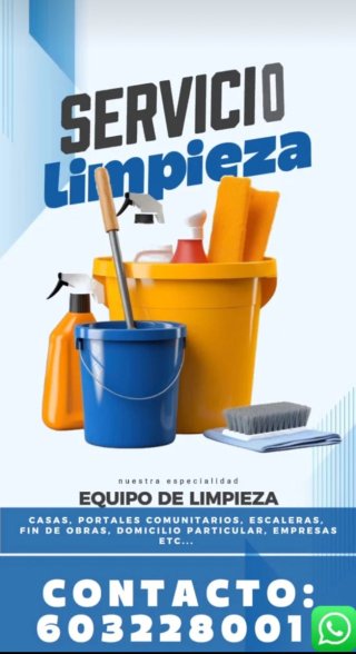 Limpieza profesional