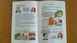 Libro The Face in the Mirror
