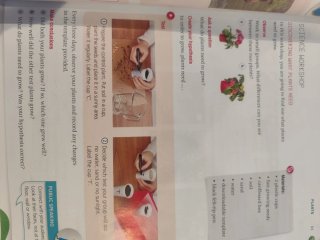 Libro Natural Science 3 primaria Macmillan