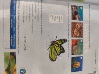 Libro Natural Science 3 primaria Macmillan