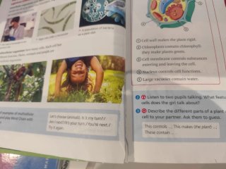 Libro Natural Science 3 primaria Macmillan