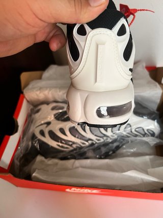 Nike Air Max Plus pueso una ves