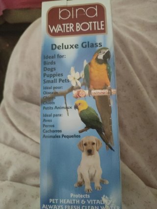 Botella de Agua para Pájaros Deluxe Glass