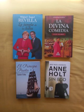 LOTE DE 40 LIBROS