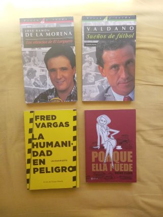 LOTE DE 40 LIBROS