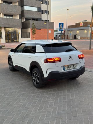 Citroen C4 Cactus 2022