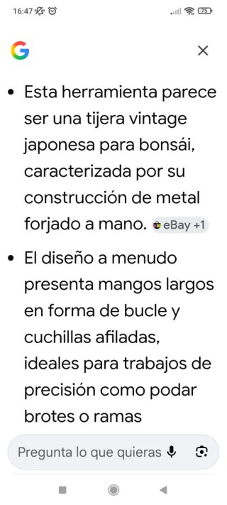 Tijera japonesa antigua hierro forjado bonsai