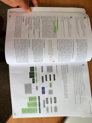 *Itinerario personal para la empleabilidad I (C...