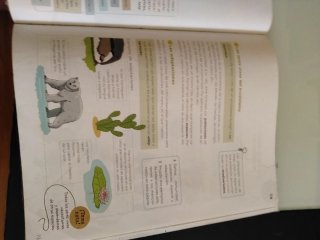 Ciencias de la Naturaleza 4