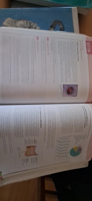 5 Libros de texto de 1o Bachillerato : Comunidad e