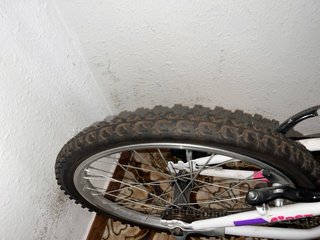 Bicicleta infantil First Bike rosa