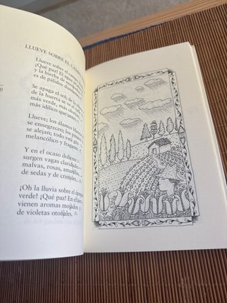 Mi primer libro de poemas