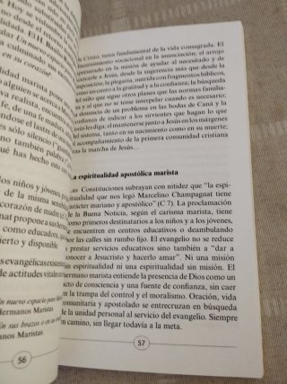 Espiritualidad de las familias religiosas
