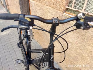 Bicicleta Paseo Pegasus