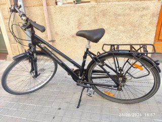 Bicicleta Paseo Pegasus