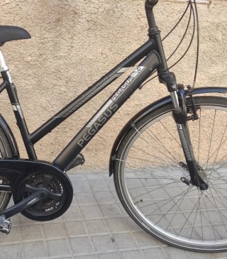 Bicicleta Paseo Pegasus