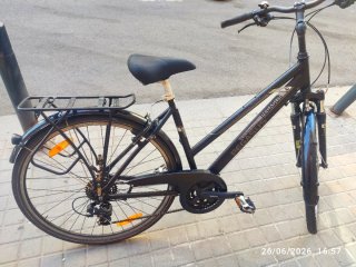 Bicicleta Paseo Pegasus