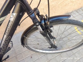 Bicicleta Paseo Pegasus