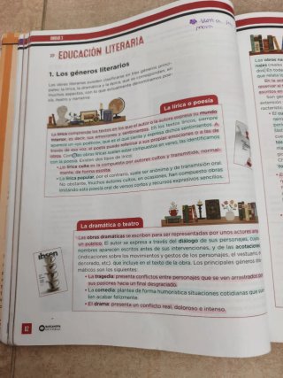 Lengua castellana, 1 ESO, Programa Carmen de Bu...