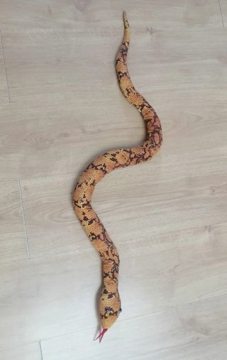 Serpiente de arena
