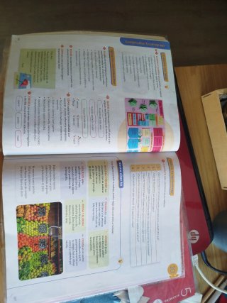 Lengua castellana, 5 Primaria