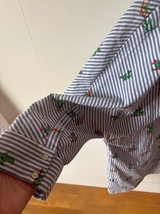 Camisa Zara rayas cactus
