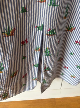 Camisa Zara rayas cactus