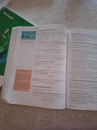 Lengua castellana y literatura 1, Le Bachillerato