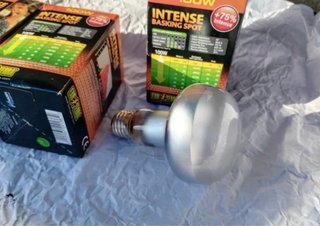Bombilla Exo Terra 100W Intense Basking Spot