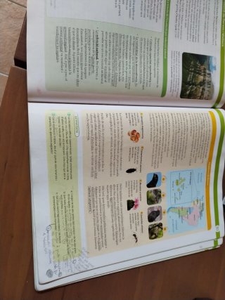 Biologia, 2 Batxillerat, Projecte Construint mons