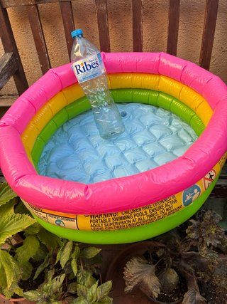 Mini piscina inflable Ribes multicolor
