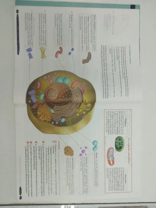 Biología y Geología 3º ESO. Libro del estudiant...
