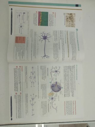 Biología y Geología 3º ESO. Libro del estudiant...